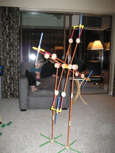 Picture 018